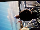 Sylwek , 44 years old –  hair,   eyes from Międzyzdroje, Poland - Photo 1337714