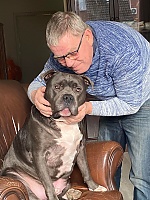 Gorgeous Jan Boer, 64 years old from Netherlands | ID: 1856663