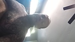 Gorgeous Steve Doolittle, 48 years old from United States | ID: 2081040