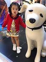 Kenric Lee , 52 years old –  hair,   eyes from Rochester, United States - Photo 1076106